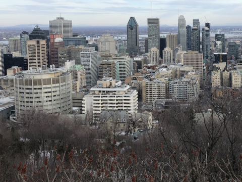 sky line of Mont Royal 