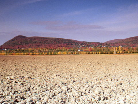 view of a isolated hill with trees in fall colours. Dusty field in the foreground. 