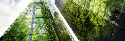 Image of high rise building with reflected trees