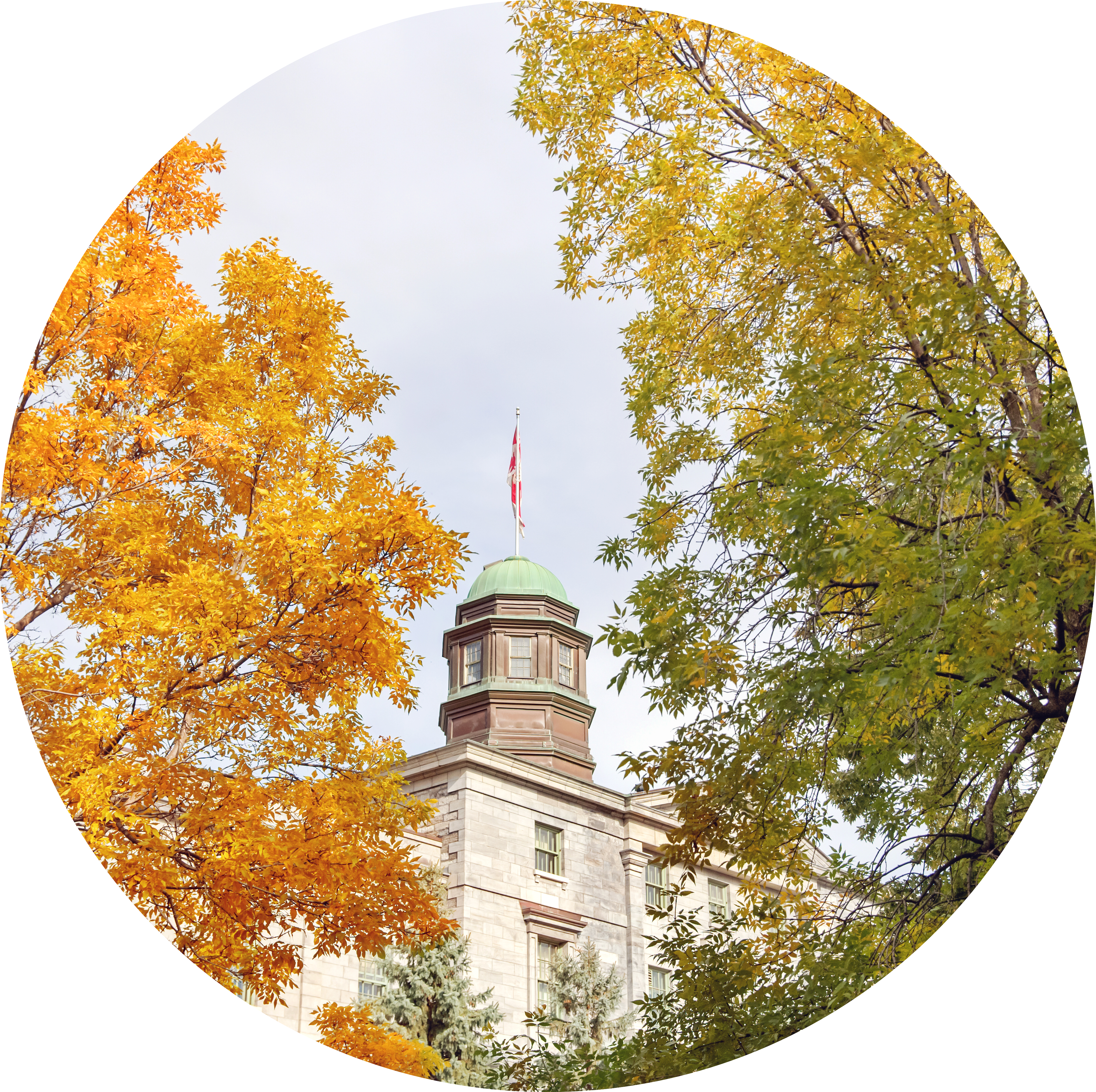 Arts building cupola and fall foliage