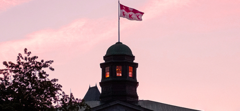 McGill Third Century Postdoctoral Research Fellowship