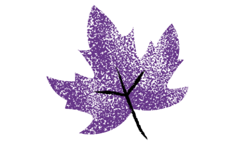 Purple and black maple leaf against a white background