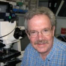 Dr. Alan Peterson | Division of Experimental Medicine - McGill University