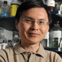 Dr. Hua Gu Dr. Hua Gu