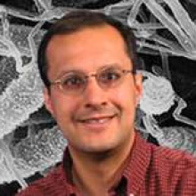 Dr. Salman Qureshi Dr. Salman Qureshi