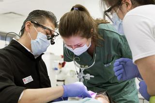 Dentist and technician performing an operation 