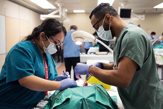 Medicine students performing a lab operation