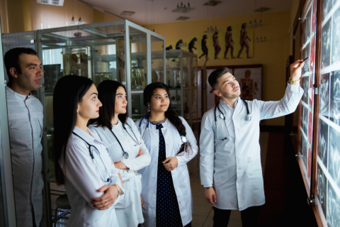 Doctors and students working together