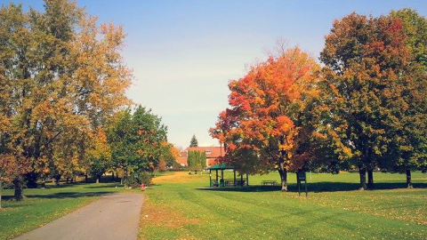 Macdonald Campus in fall, orange leaves