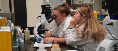 Students using electronic microscopes in the science lab