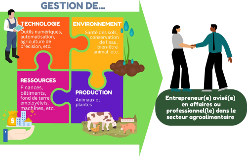 infographic of the FMT program and the different skills and competencies students acquire in the program.