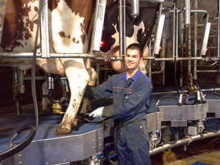 A male student in a milking parlour during his internship.