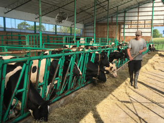 Student Justin Lauzon spent his summer working at Ferme Val-Bisson in St-Polycarpe, QC gaining practical work experience.