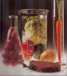 https://www.mcgill.ca/foodscience/files/foodscience/scan1.jpg