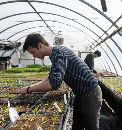 sustainability mac farm