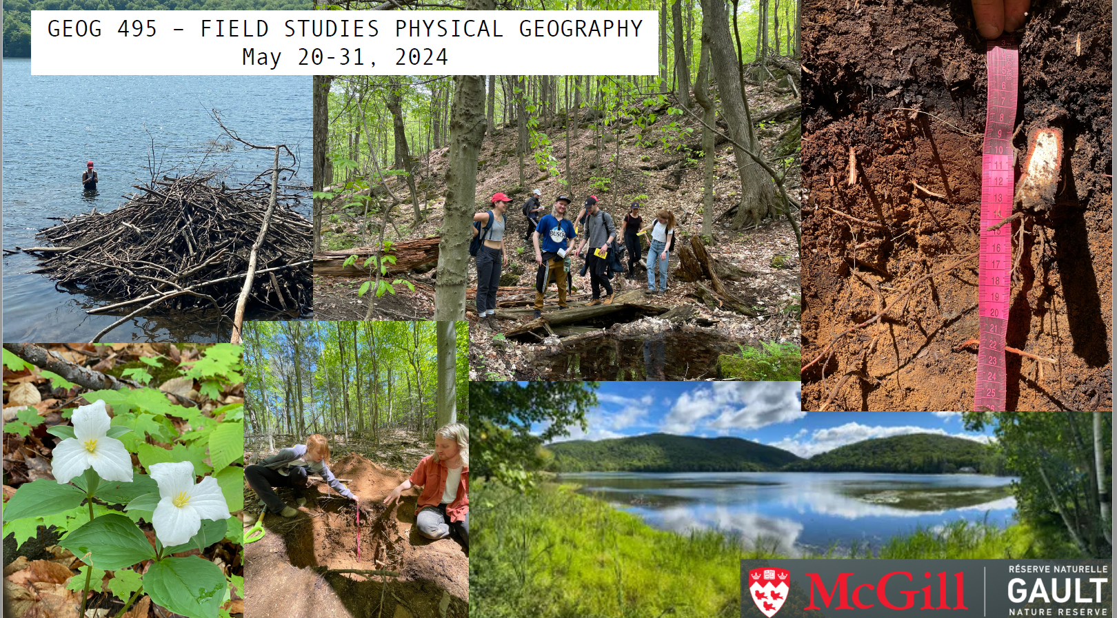 a collage of images of students conducting field work in the forest, streams and lake in summer at the McGill Gault Nature Reserve in Mont-Saint-Hilaire, Québec