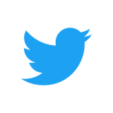 Icon: Blue Twitter Icon of a bird