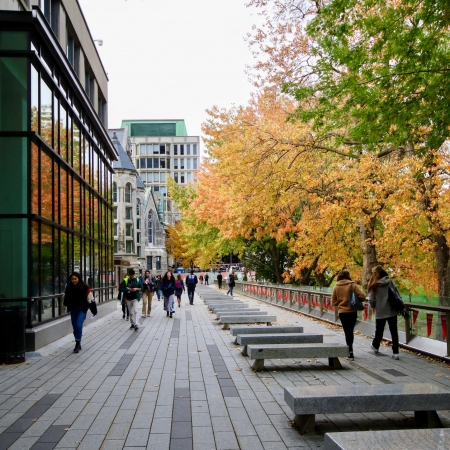 Students walking at McGill's downtown campus in autumn