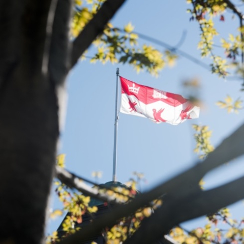 McGill University flag