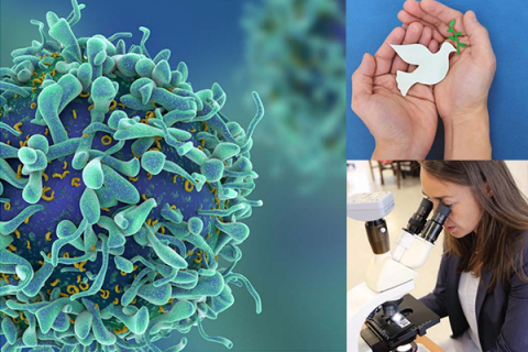 A collage of three images: an up close image of a pathogen, two hands holding a paper cut-out of a dove, a women looking at a microscope