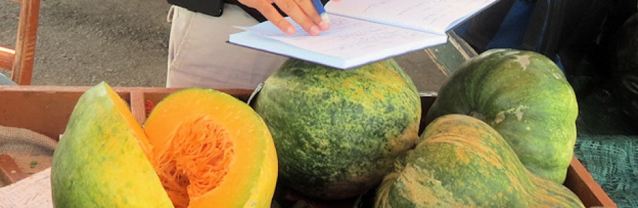 Food Nutrition Services Positions In Plantation Food Nutrition Services Positions In Plantation