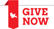 Give now button 