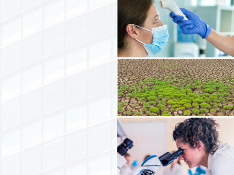  a woman getting her temperature taken by a health professional, dried land, and a scientist looking into a microscope on a background of a skyscrapper