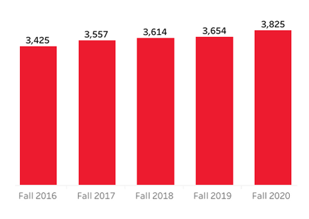 example graph of phd enrolment data