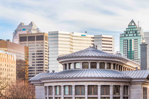 Redpath Museum skyline view