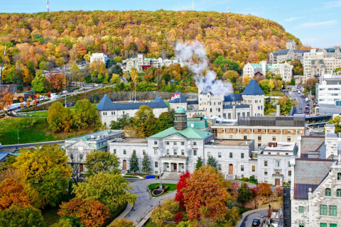 Aerial view of McGill's downtown campus with Fall foliage