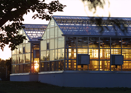 Macdonald Campus greenhouse