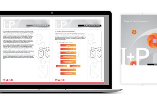 IP Ebook Design