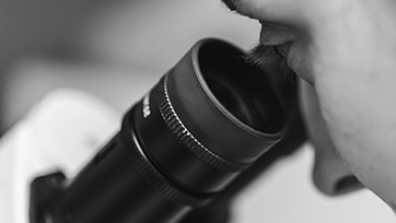 Scientist looking through microscope