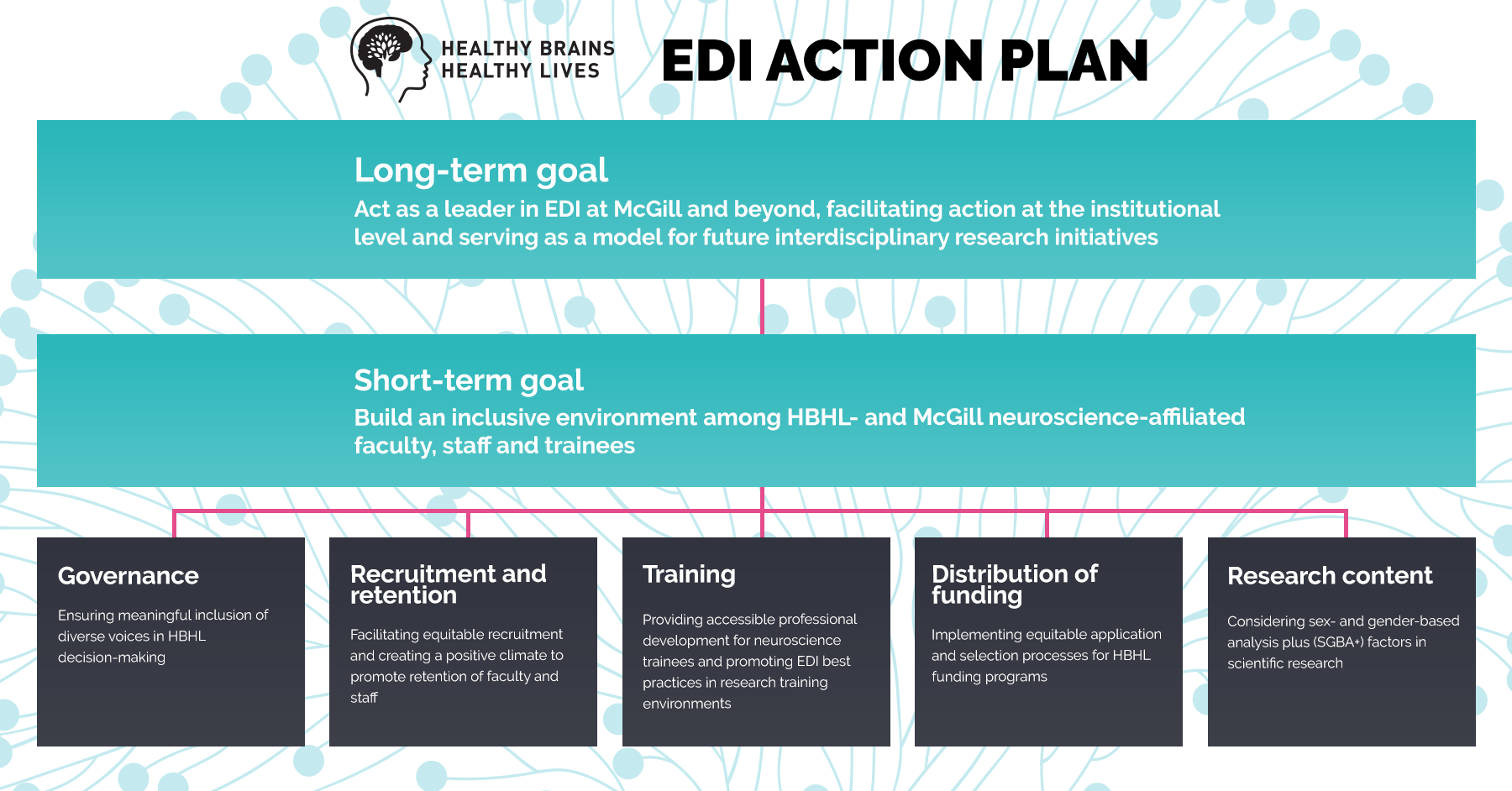 EDI plan - can be seen on EDI Action Plan page