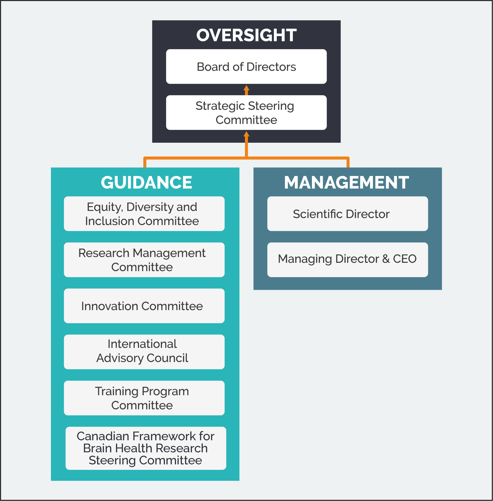 Graph showing governance hierarchy. Oversight is led by the Board of Directors and the Strategic Steering Committee, and oversees the Management (Scientific Director and the Managing Director &amp; CEO) and the Guidance (All other committees and councils)