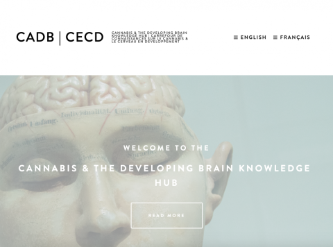 sculpture of human with brain revealed. text: welcome to the cannabis & developing brain knowledge hub 