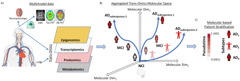 A figure representing different informatic layers and pathways related to Alzheimer's disease subtypes