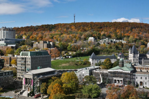 McGill campus: Leacock building, Redpath museum, Dawson hall & around