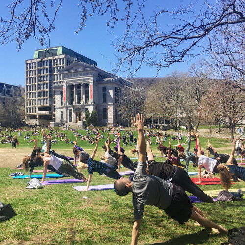 People doing yoga in McGill lower field