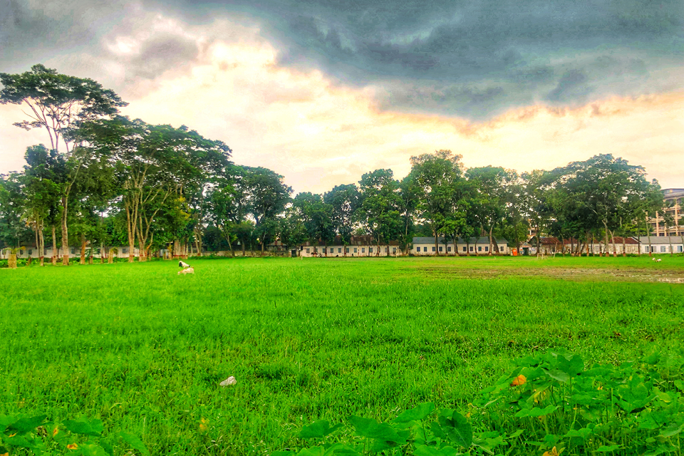 Green pasture in Bangladesh, by Arafat Hosen Khan.