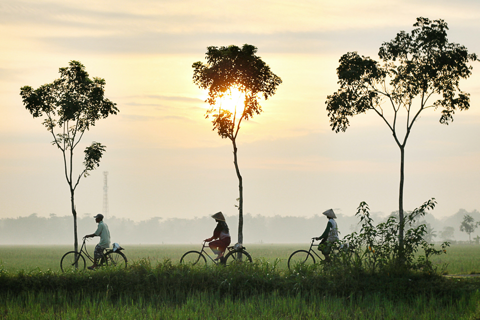 Three persons riding bikes in the misty countryside of Kebumen district, Central Java Province, Indonesia. By Dikaseva via Unsplash.