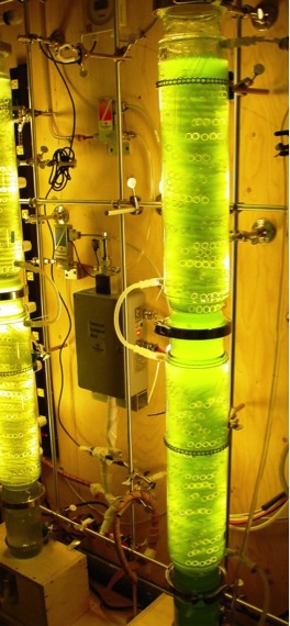 Dr. Lefsrud’s Algae Reactor