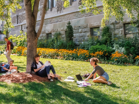 Students studying under a tree outside Morrice Hall.