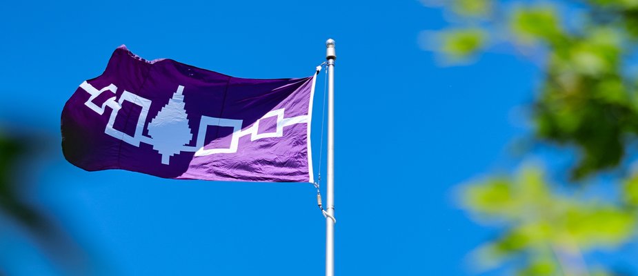 A photo of the Hiawatha Wampum Belt flag flying against a blurred background of blue skies and trees