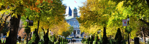 A walkway with trees on McGill campus in the summer