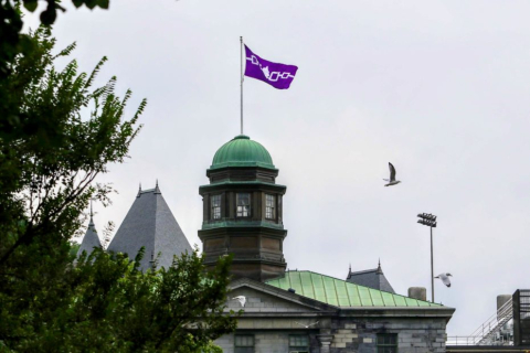 Une photo du Drapeau de la ceinture wampum de Hiawatha, flottant depuis le McGill Arts Building.