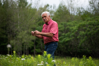 A photo of a man in a red shirt in a field with trees during a medicinal plant walk