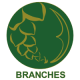 The circular Branches logo in green