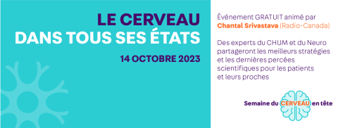 Le cerveau dans tous ses états