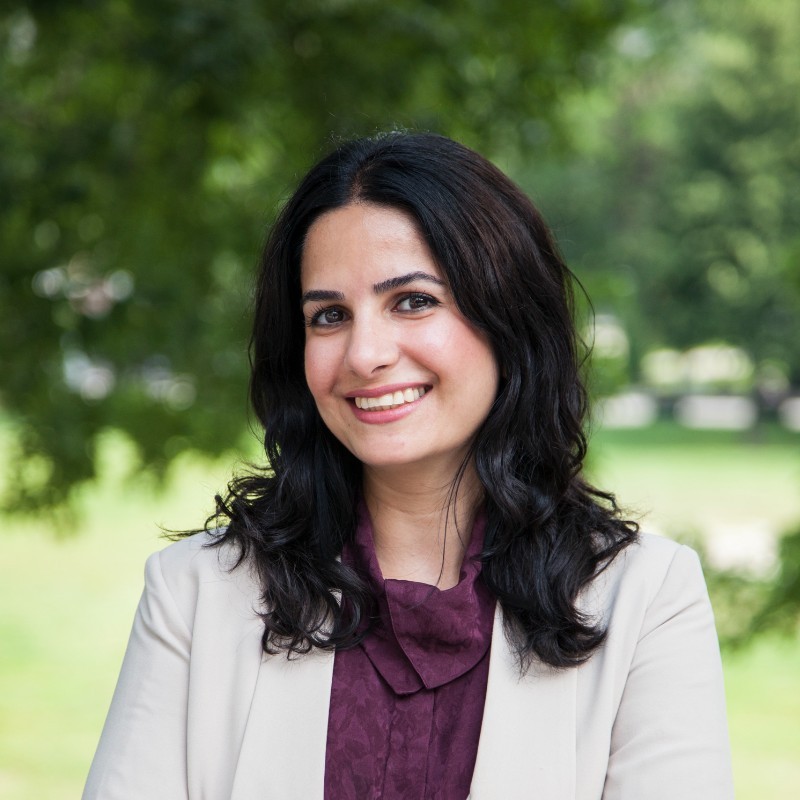 Professor Sara Mahshid